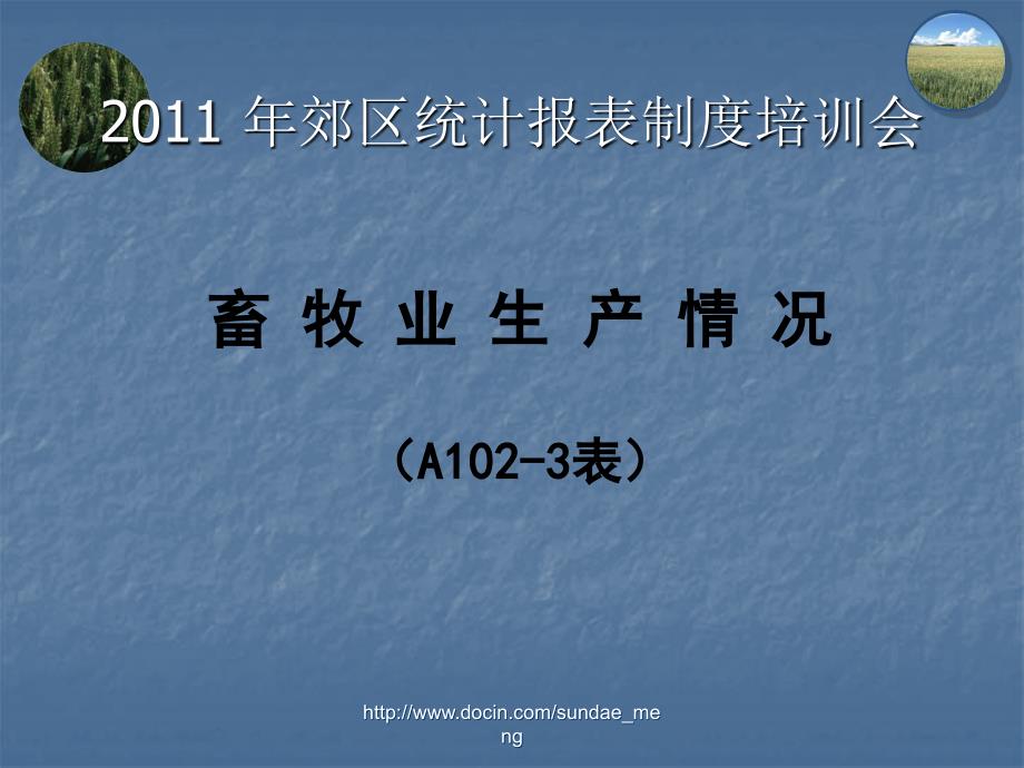 【培训课件】郊区统计报表制度培训会课件_第2页