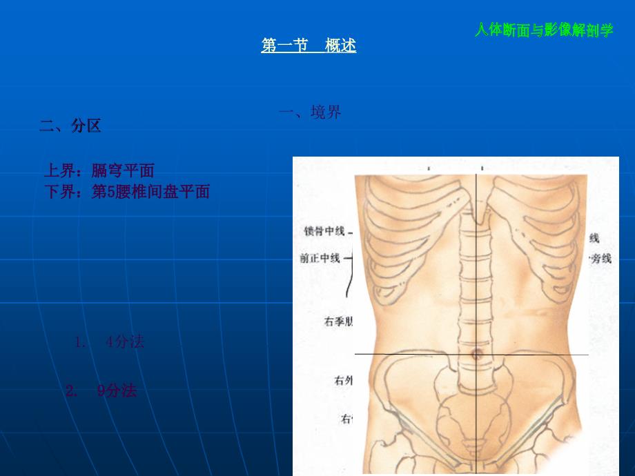 腹部断层影像解剖学ppt课件_第3页