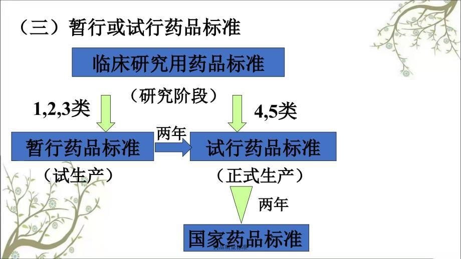 药品质量标准课件_第5页