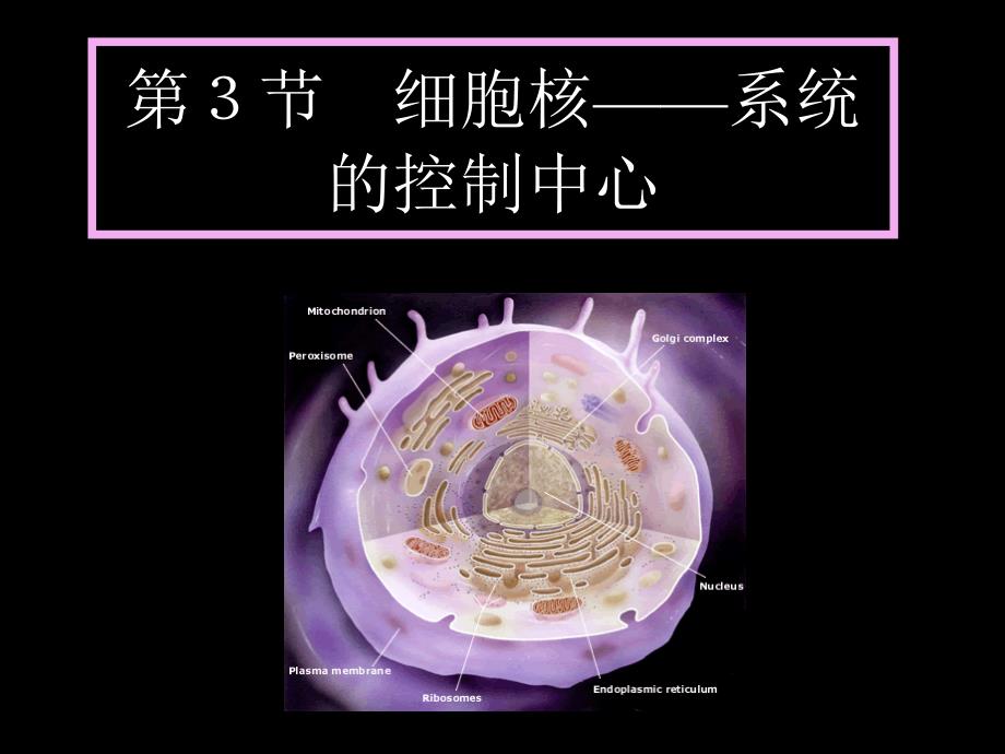 生物：2.3《细胞核-系统的控制中心》课件(新人教版必修1)_第1页