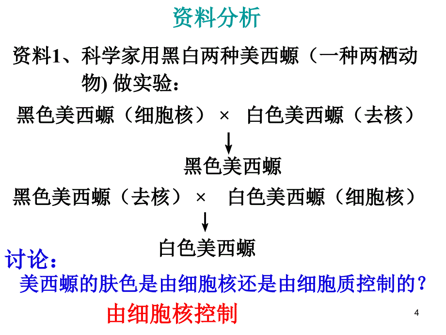 生物：2.3《细胞核-系统的控制中心》课件(新人教版必修1)_第4页