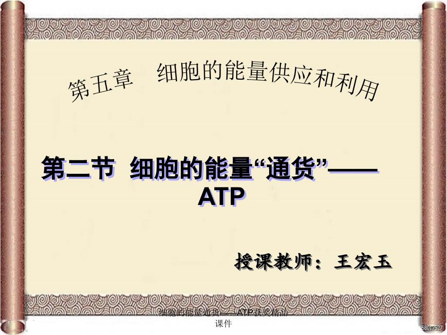 细胞的能量通货——ATP获奖精品课件_第2页