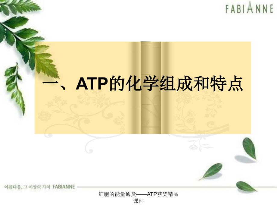 细胞的能量通货——ATP获奖精品课件_第3页