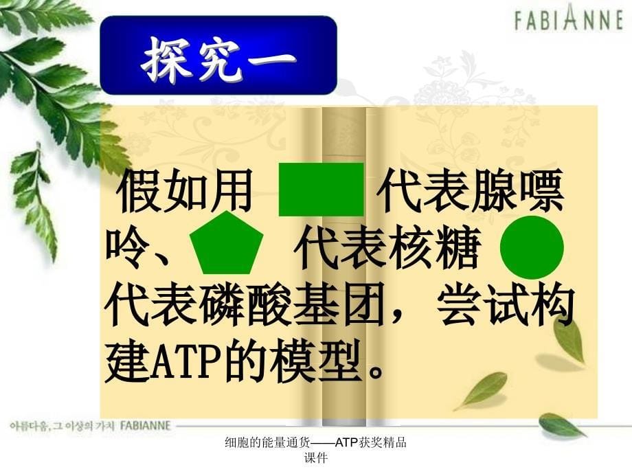 细胞的能量通货——ATP获奖精品课件_第5页