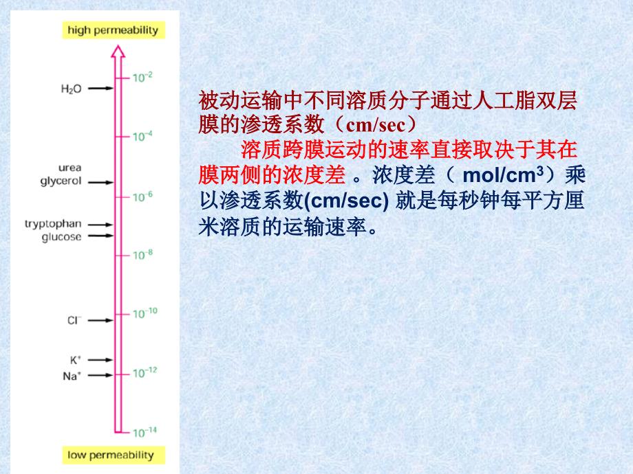 5-1 跨膜转运_第4页