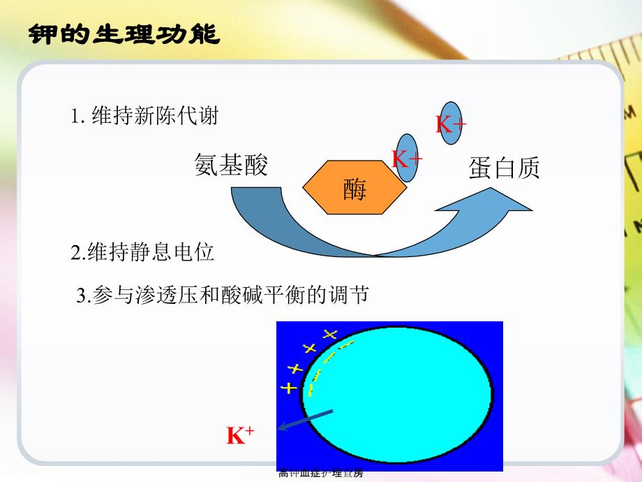 最新高钾血症护理查房_第4页