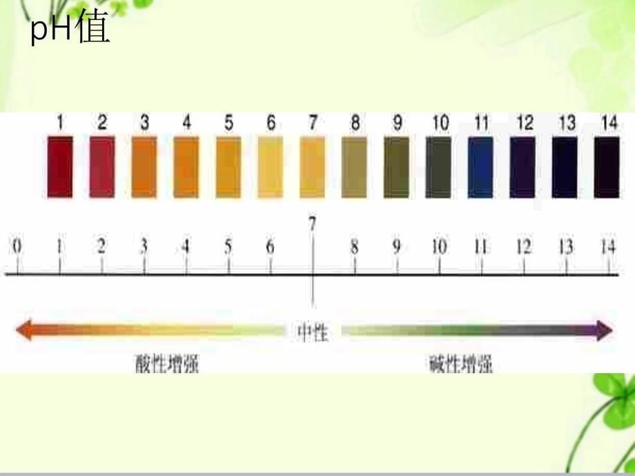 中小学pH与生活中物质的酸碱性ppt课件_第5页