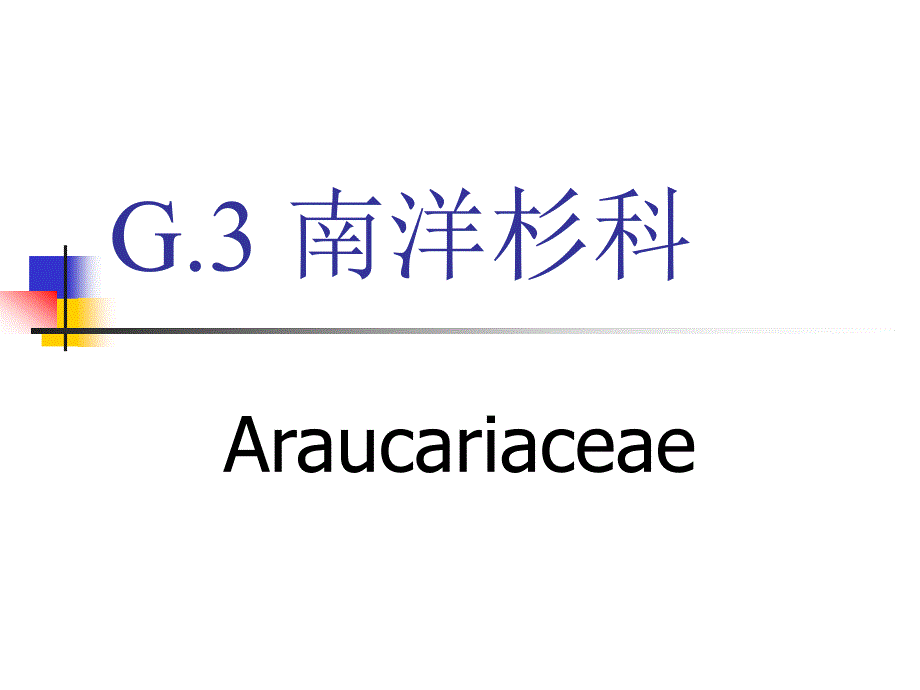 树木学教学课件：G.3 南洋杉科_第1页