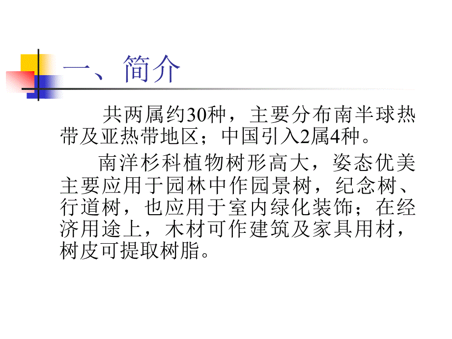 树木学教学课件：G.3 南洋杉科_第2页