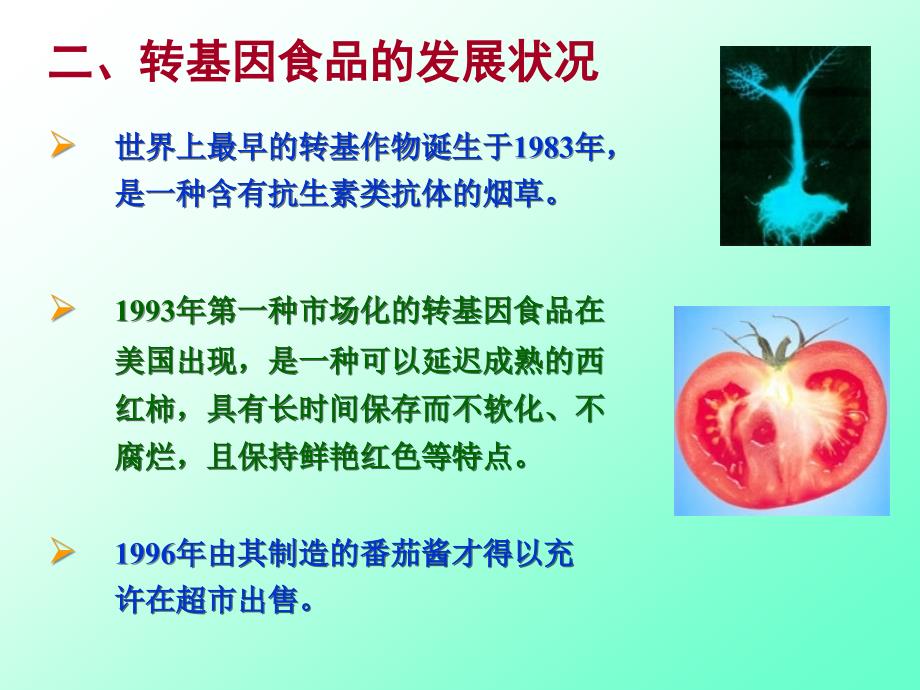 转基因食品及其安全性.ppt_第2页