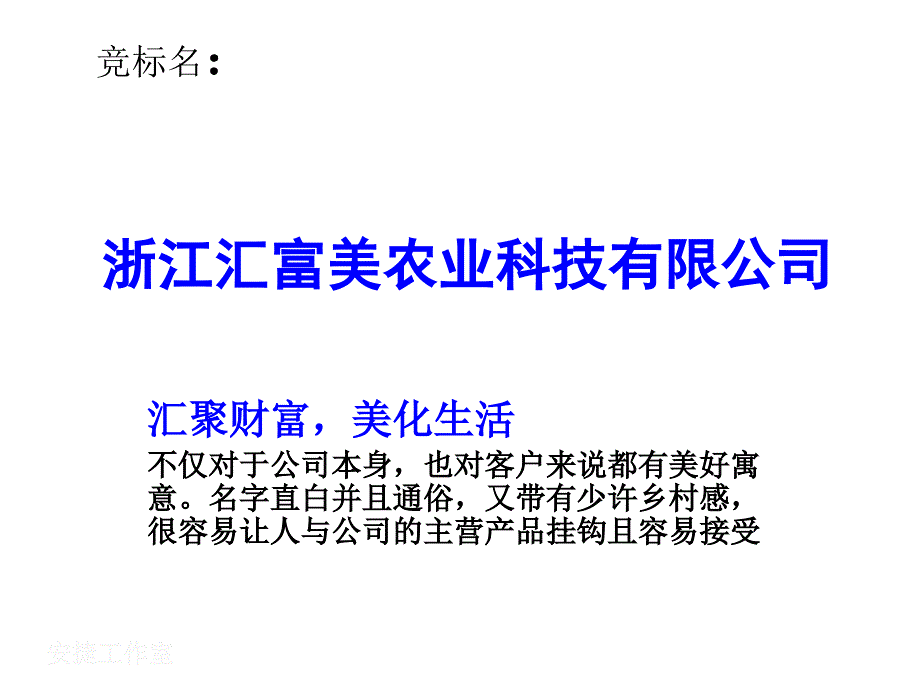 公司名竟标方案_第2页