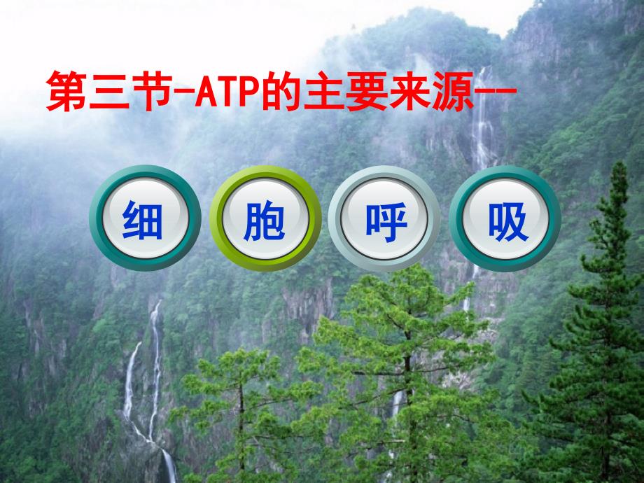 53ATP的主要来源细胞呼吸2_第1页