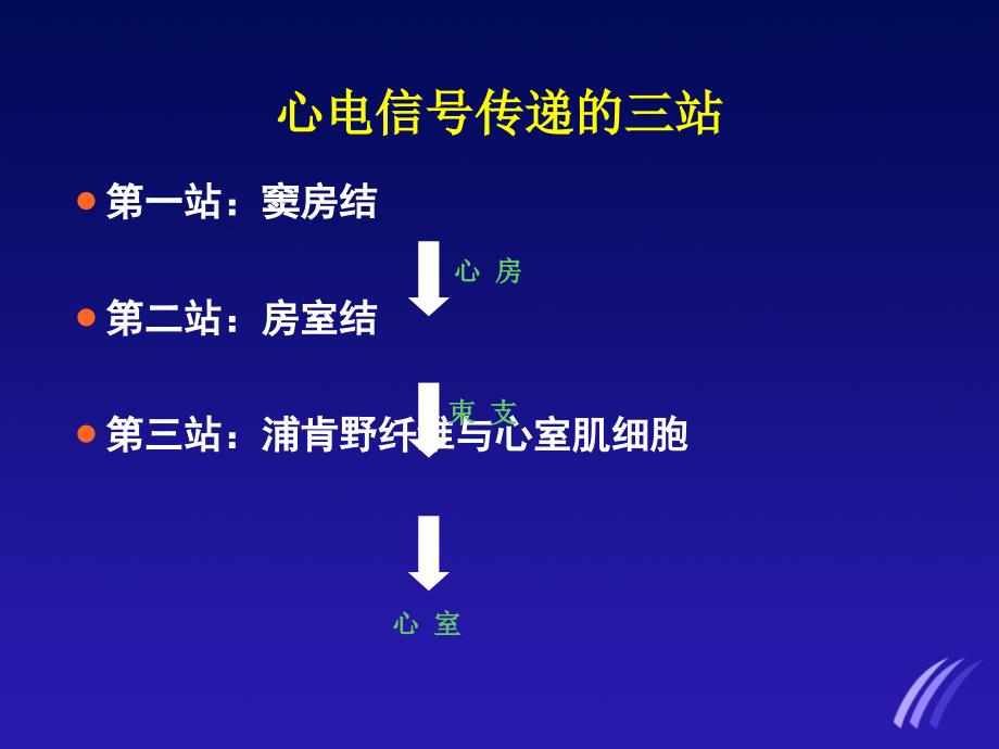 临床常见心电图的判读ppt件_第4页