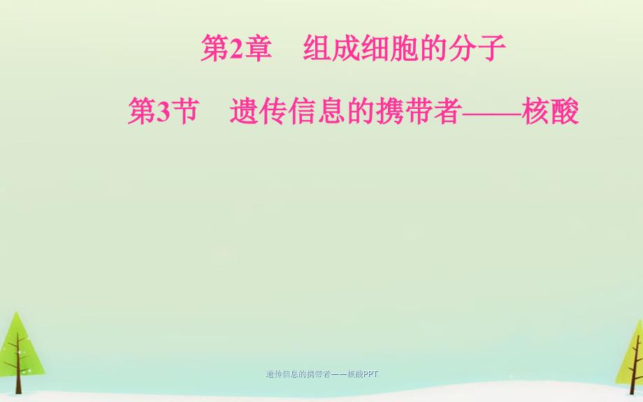 遗传信息的携带者核酸PPT经典实用_第2页