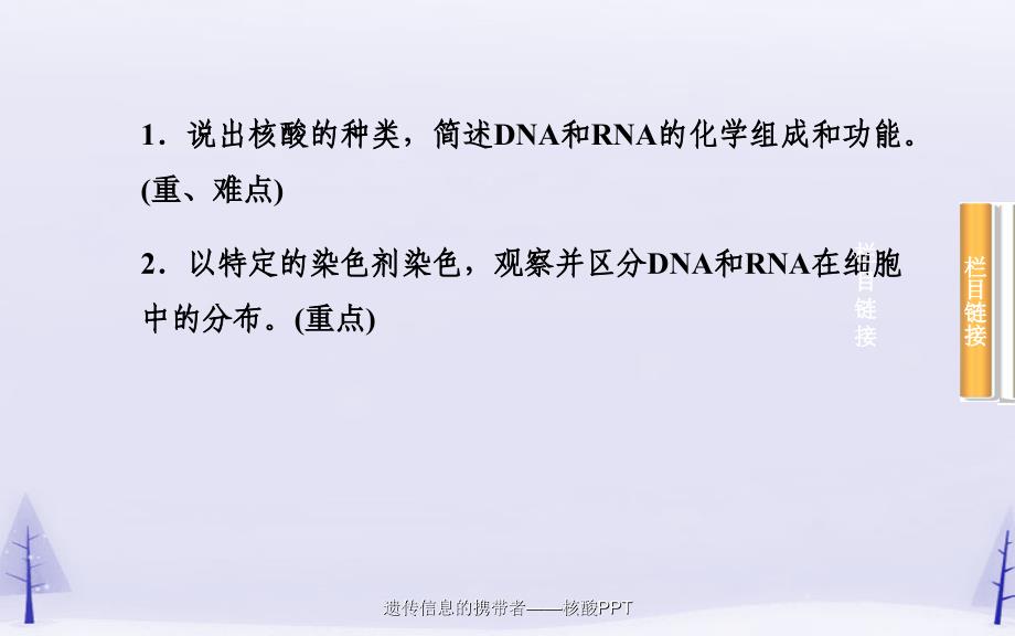 遗传信息的携带者核酸PPT经典实用_第4页