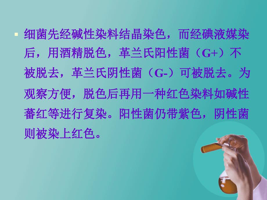 革兰氏染色及镜检操作规范培训_第4页