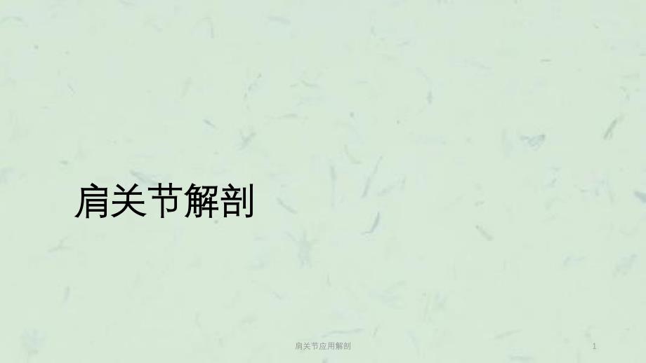 肩关节应用解剖课件_第1页