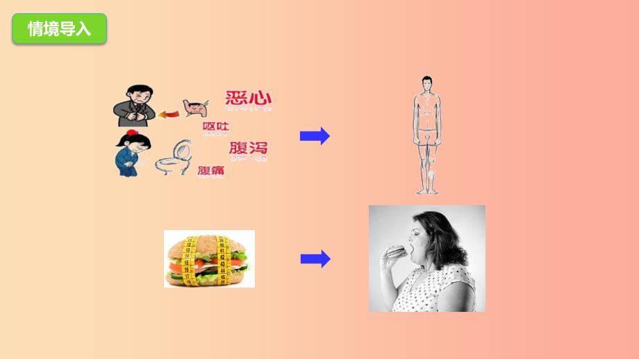 河北省七年级生物下册 2.1.3营养物质的吸收和利用课件 冀教版.ppt_第2页