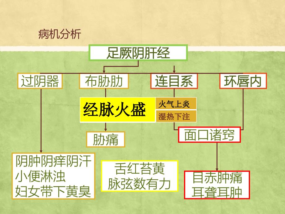 龙胆泻肝汤方解_第4页