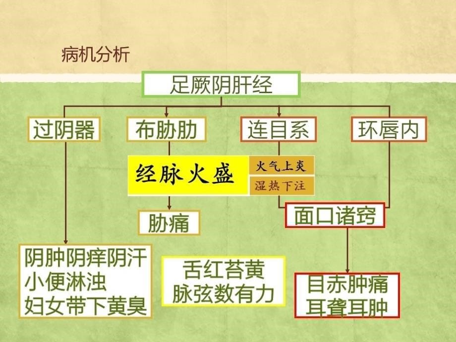 龙胆泻肝汤方解_第5页