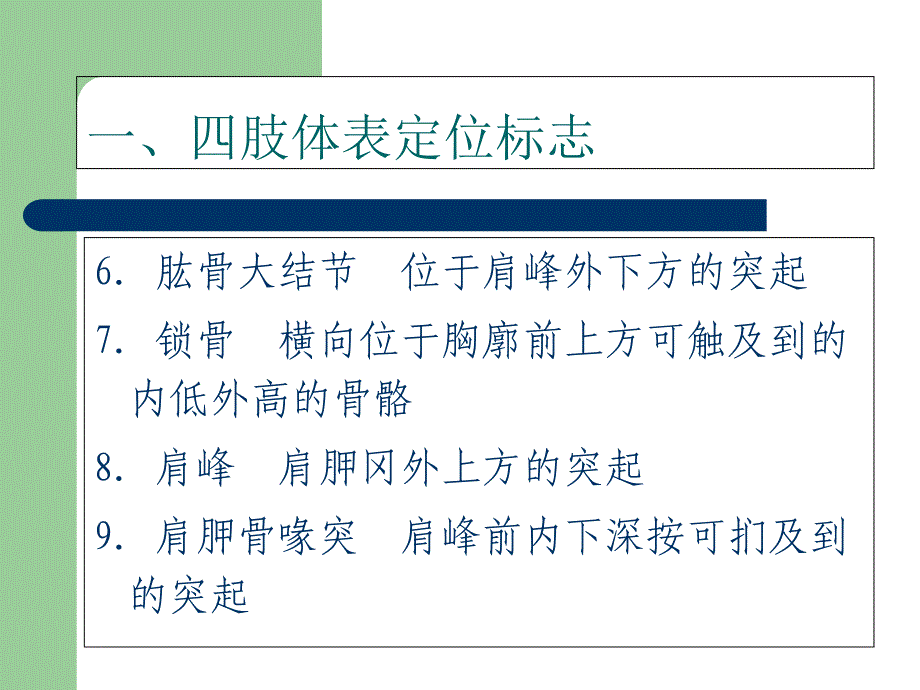 常用体表定位标志_第3页