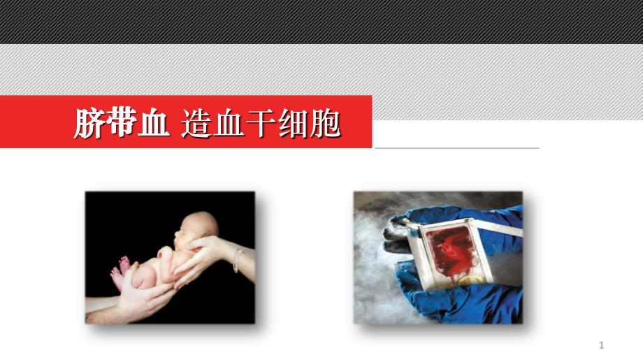 脐带血造血干细胞PPT课件.ppt