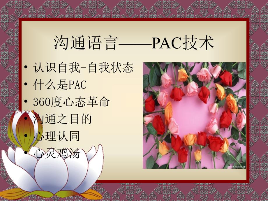 沟通语言PAC技术_第1页