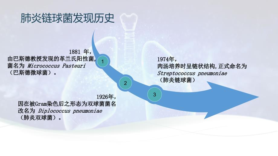 23价肺炎宣讲_第4页