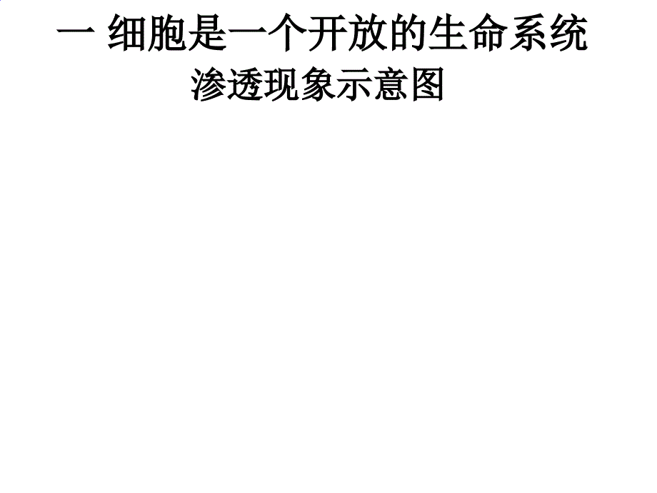 《质壁分离实验》PPT课件_第1页