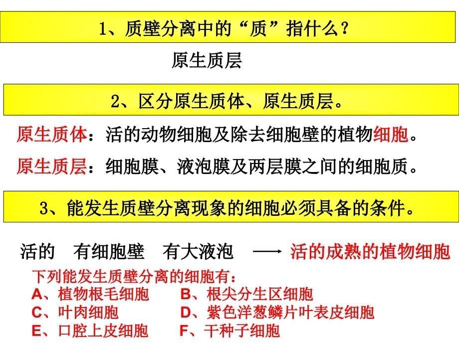 《质壁分离实验》PPT课件_第5页