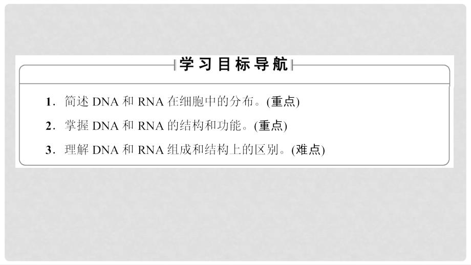 高中生物 第2单元 第2章 第1节 核酸的结构和功能课件 中图版必修1_第2页