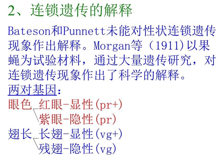 遗传学幻灯4-连锁和性连锁课件_第5页