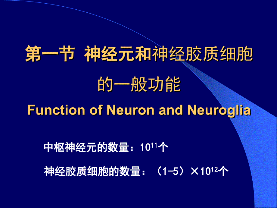 1012神经元神经纤维胶质细胞突触传递13h_第4页