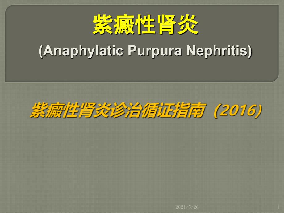 紫癜性肾炎最新诊治循证指南PPT优秀课件_第1页