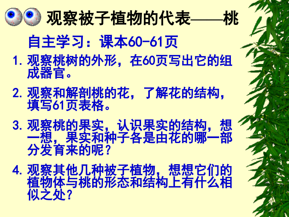 1112地面上的植物_第3页