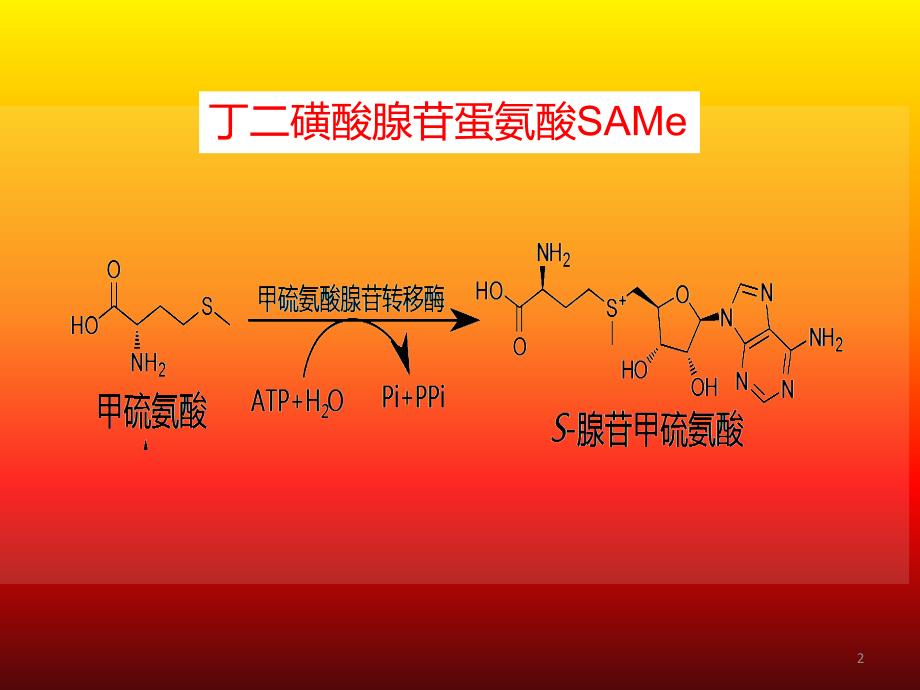 注射用丁二磺酸腺苷蛋氨酸ppt课件_第2页