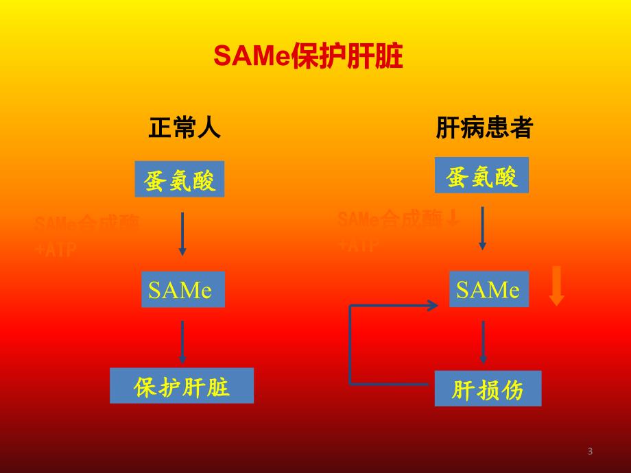 注射用丁二磺酸腺苷蛋氨酸ppt课件_第3页