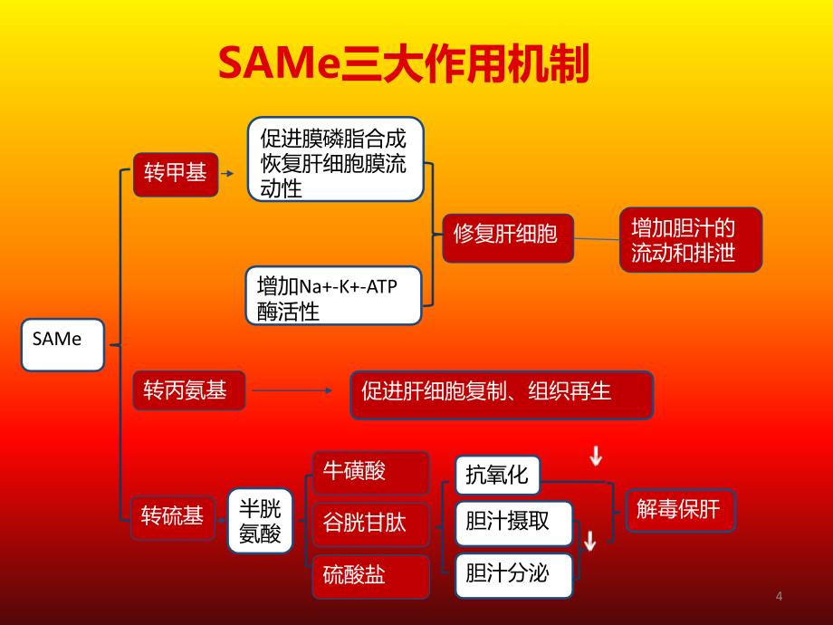 注射用丁二磺酸腺苷蛋氨酸ppt课件_第4页