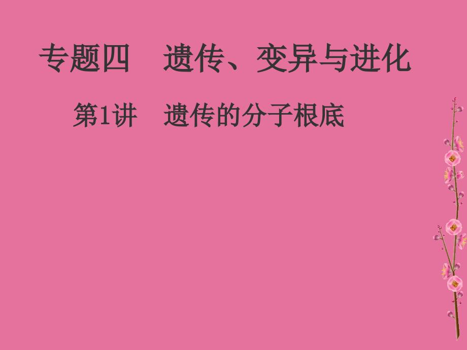 专题四遗传变异与进化ppt课件_第1页