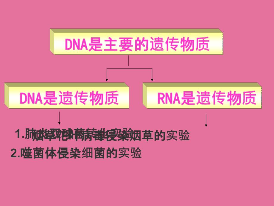 专题四遗传变异与进化ppt课件_第2页