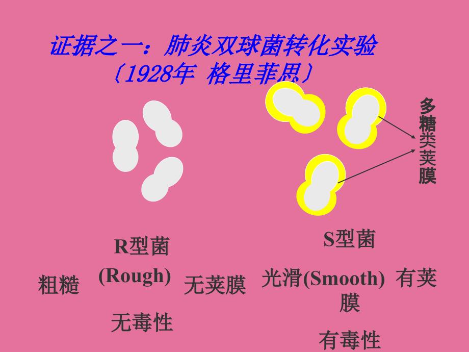 专题四遗传变异与进化ppt课件_第3页