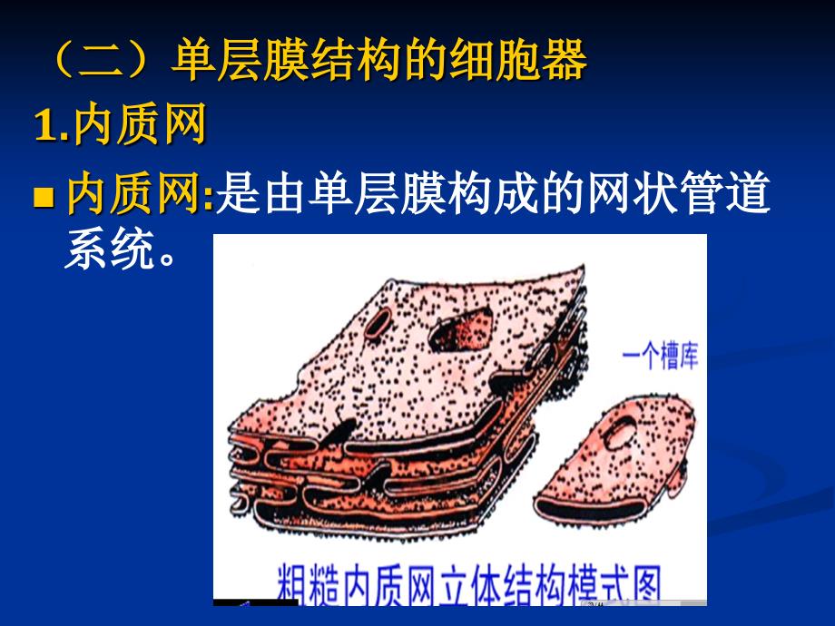植物学课件第1章植物细胞2_第1页