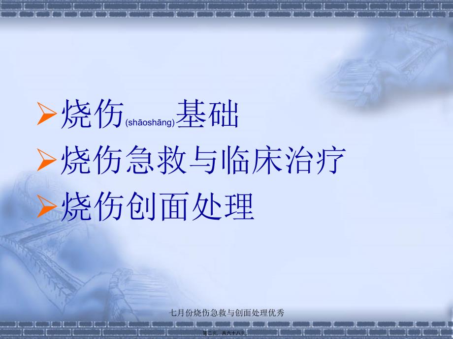 七月份烧伤急救与创面处理优秀课件_第2页