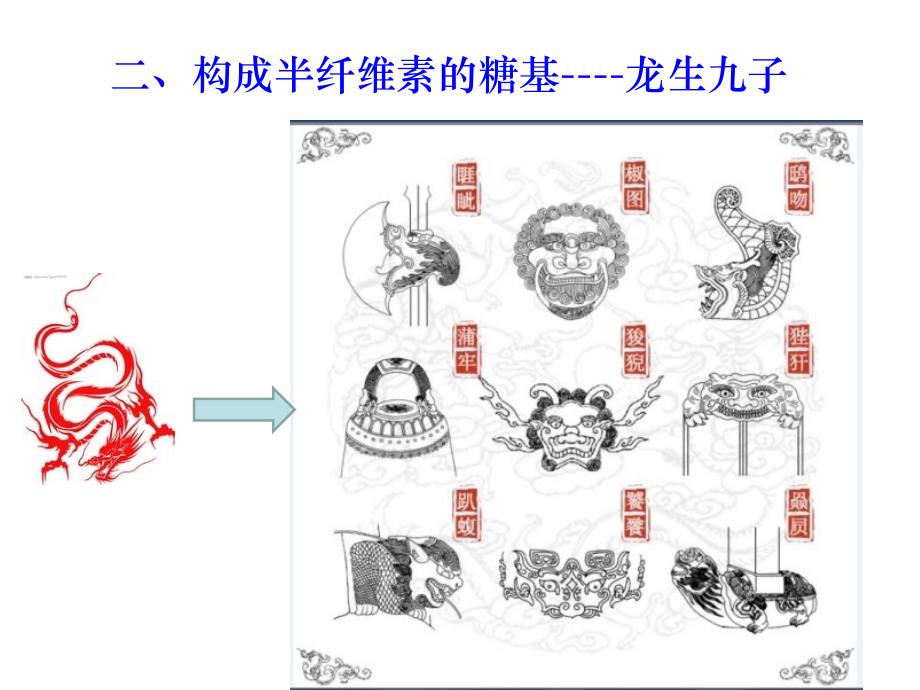 生物质结构化学——-第四章-半纤维素ppt课件_第3页