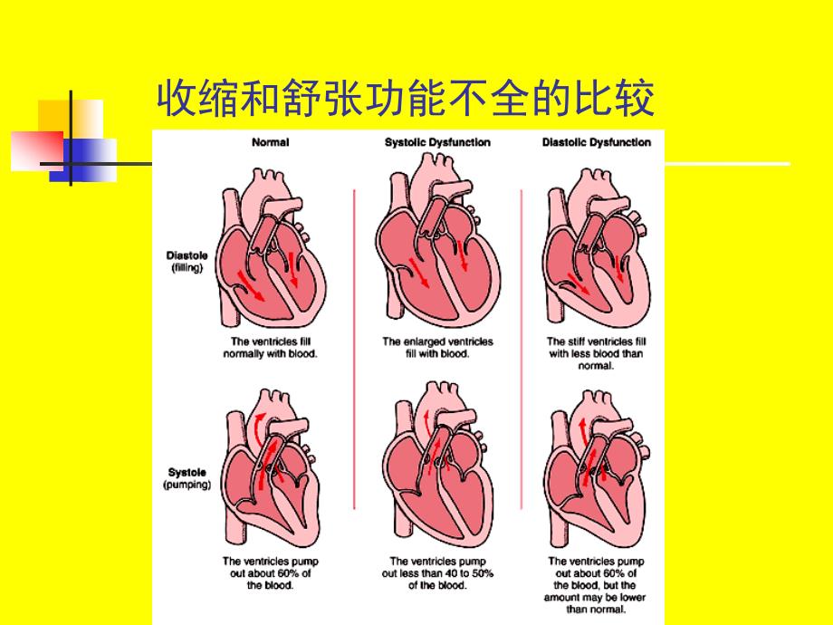 第三篇第二章心力衰竭_第4页