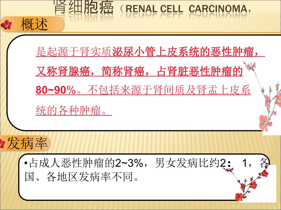 肾细胞癌诊断治疗指南_第3页