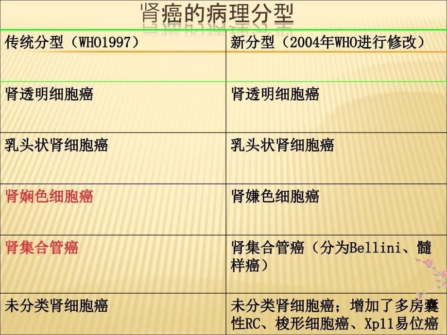 肾细胞癌诊断治疗指南_第5页