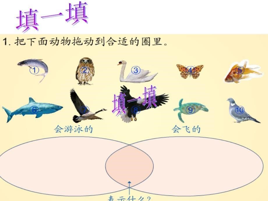 三年级上册人教版数学广角集合_第5页