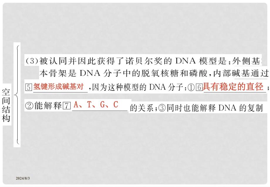 高三生物基础复习 第三单元 DNA分子的结构、复制和与基因的关系课件 新人教版必修2_第4页