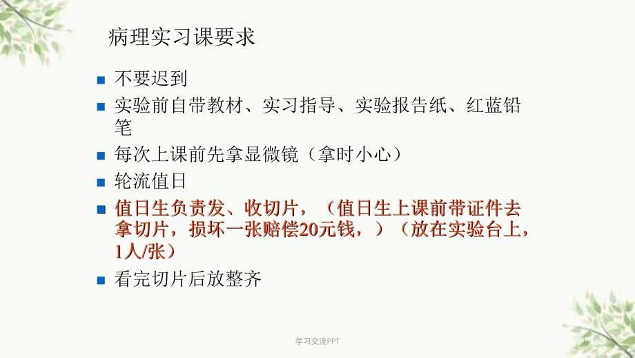 病理学图谱实验一细胞组织的适应损伤与损伤修复课件_第1页